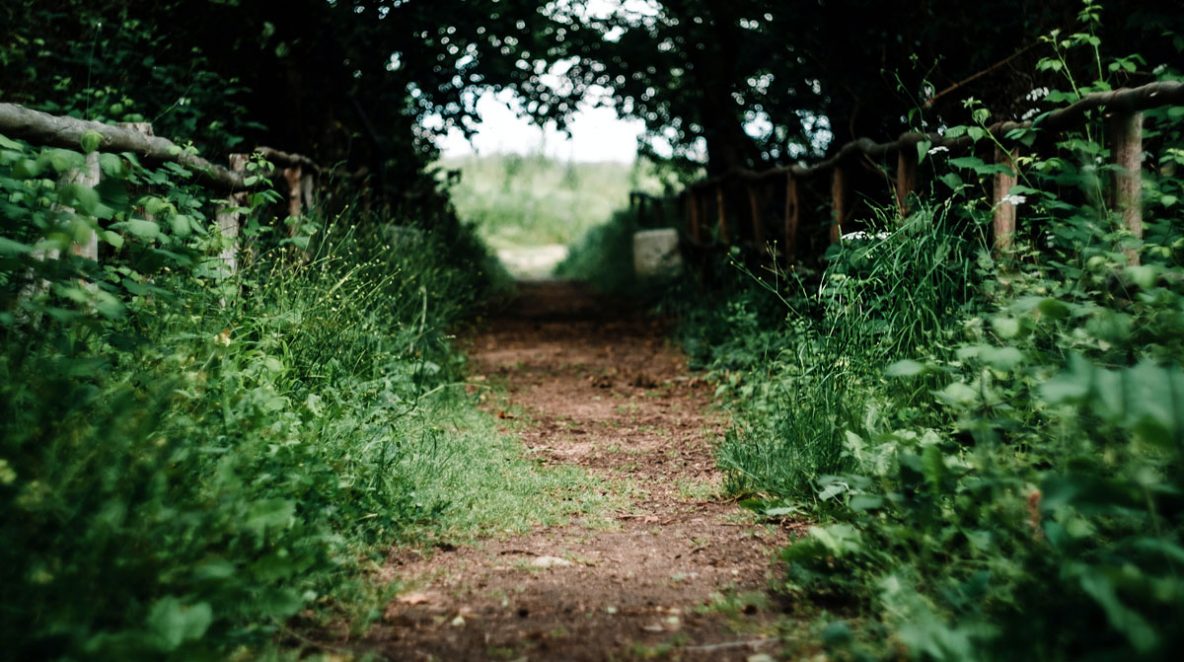 Anxiety 301: A Natural Path Towards Less Anxiety